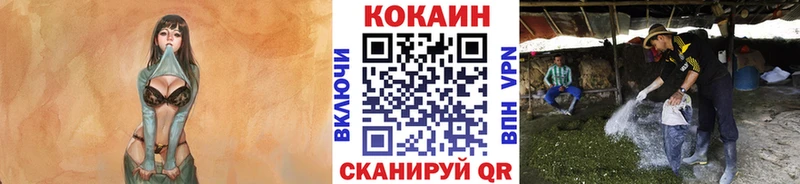 Cocaine VHQ Барабинск