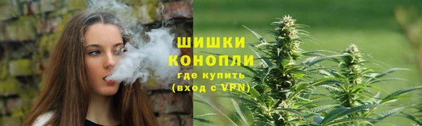 тгк Няндома