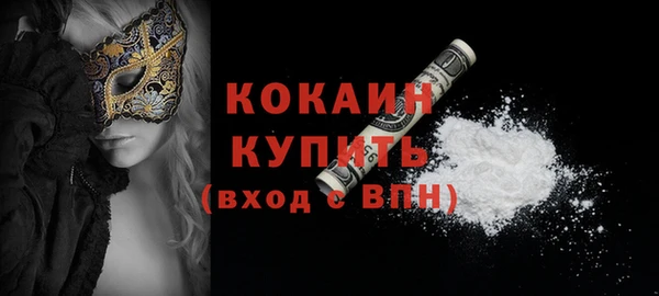 тгк Няндома