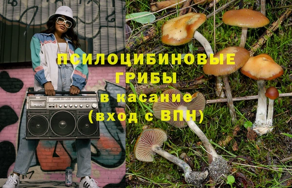 тгк Няндома