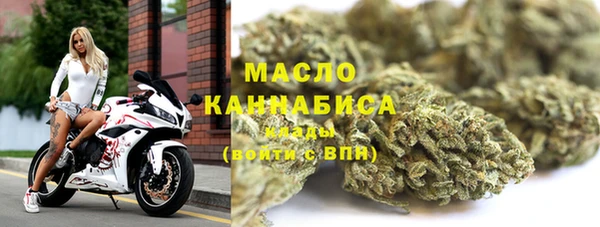 тгк Няндома