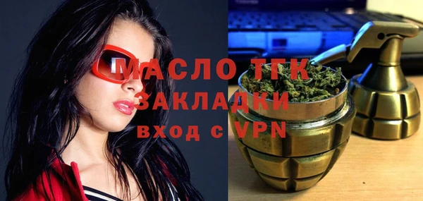 тгк Няндома