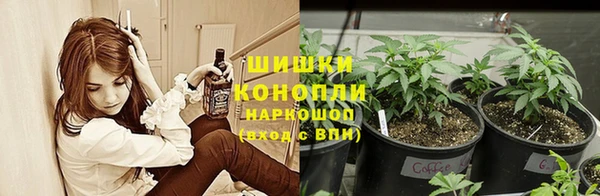 кокс Инта