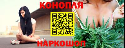 гидра Гусь-Хрустальный