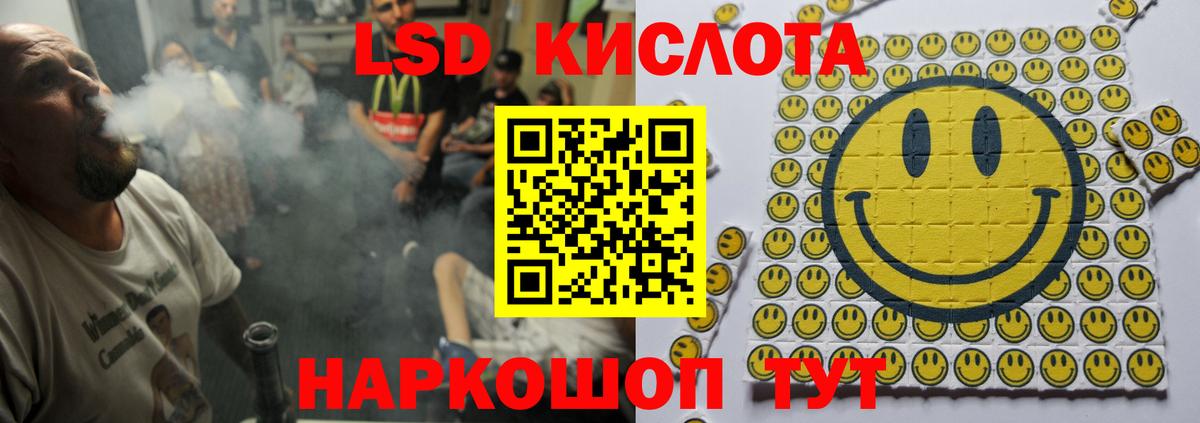 Псилоцибиновые грибы Барабинск
